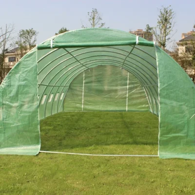 greenhouse in kenya