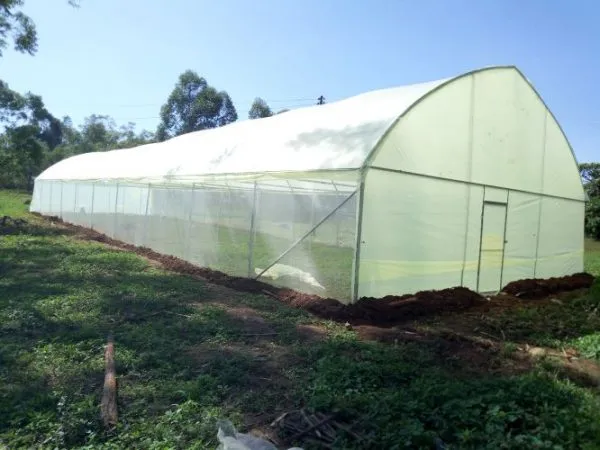 green houses large
