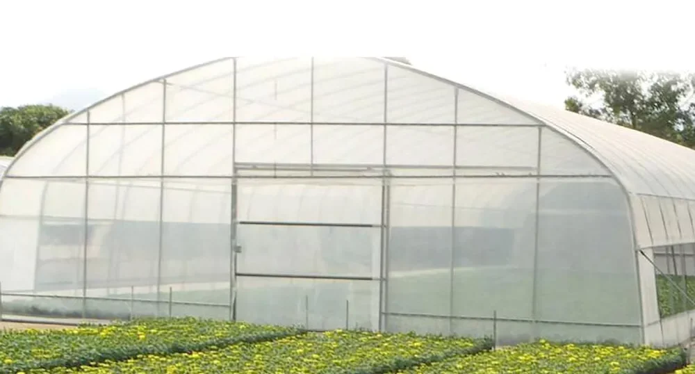 green houses xl